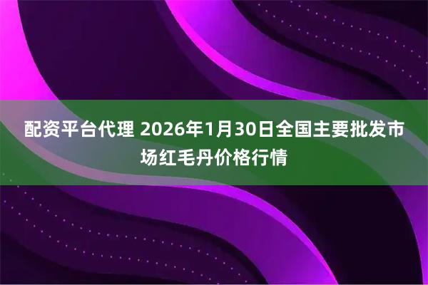配资平台代理 2026年1月30日全国主要批发市场红毛丹价格行情